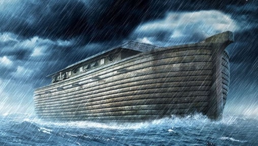 The Ark is Almost Afloat | David Murrin